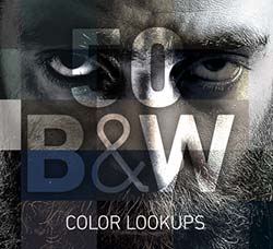 50个黑白效果的PS色调－颜色查找预设：B&W Colorlookups